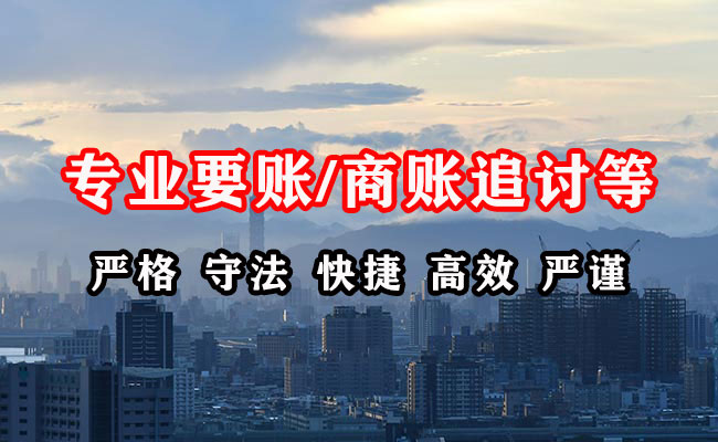 滨海新区清债公司